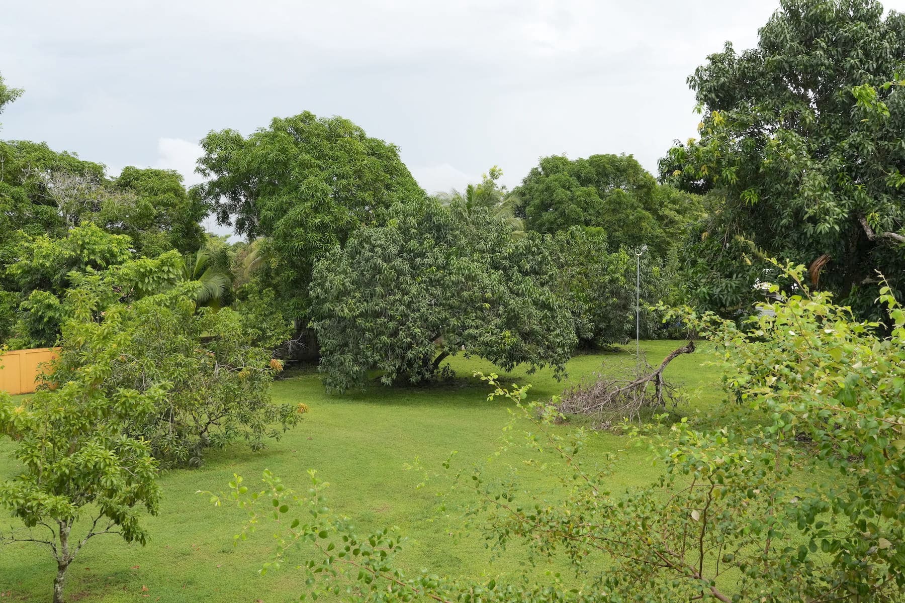 1.5 Acre Mini Estate with 4 Bed, 2 Bath Home, Office Building and 7-Car ...