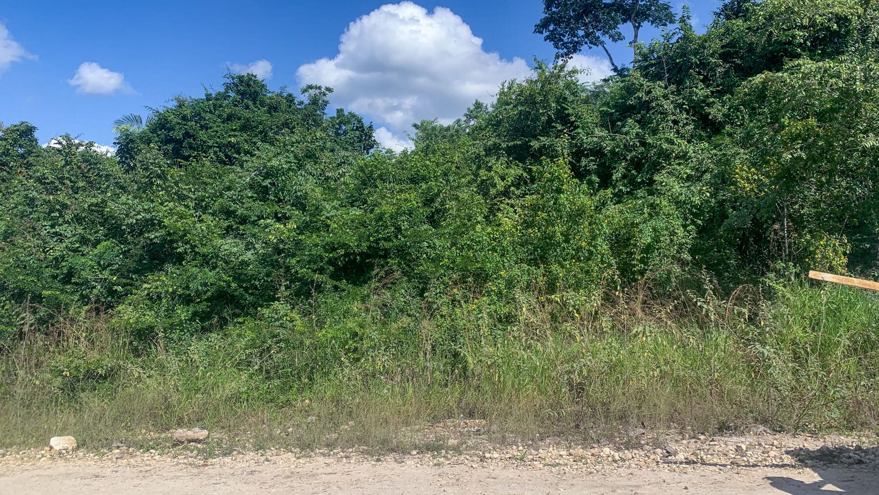 7.516 Acres of Pristine, Untouched Land in Mount Hope • Vista Real Estate