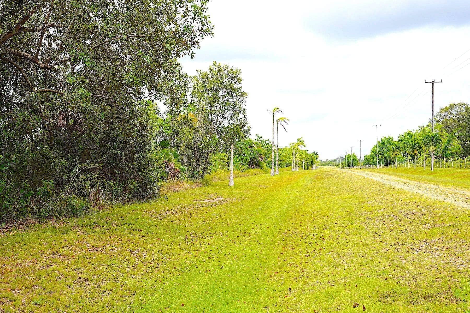 70Acre Property in Northern Burrell Boom Village, BELIZE • Vista Real Estate