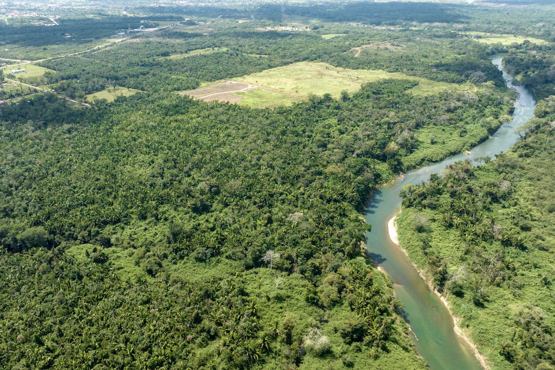 50 Acres of Land with River, Road and Creek Frontage in Mount Pleasant